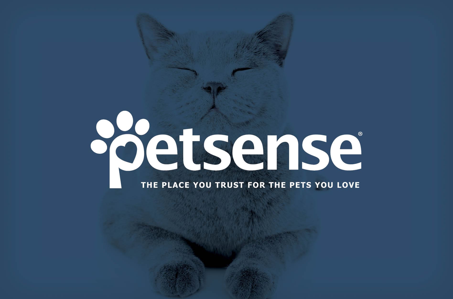pet brand design support