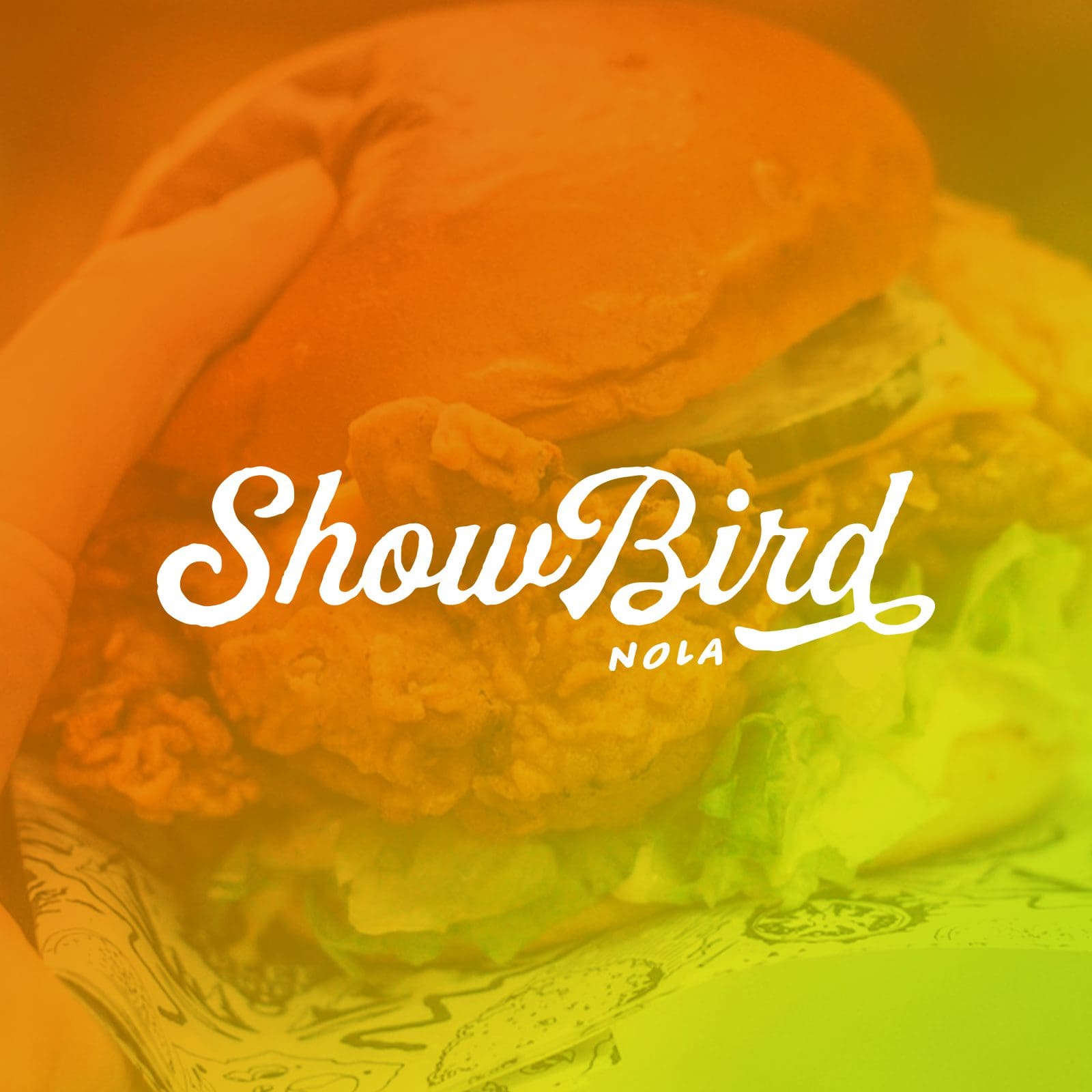 ShowBird - Foundational Branding + Logo Design