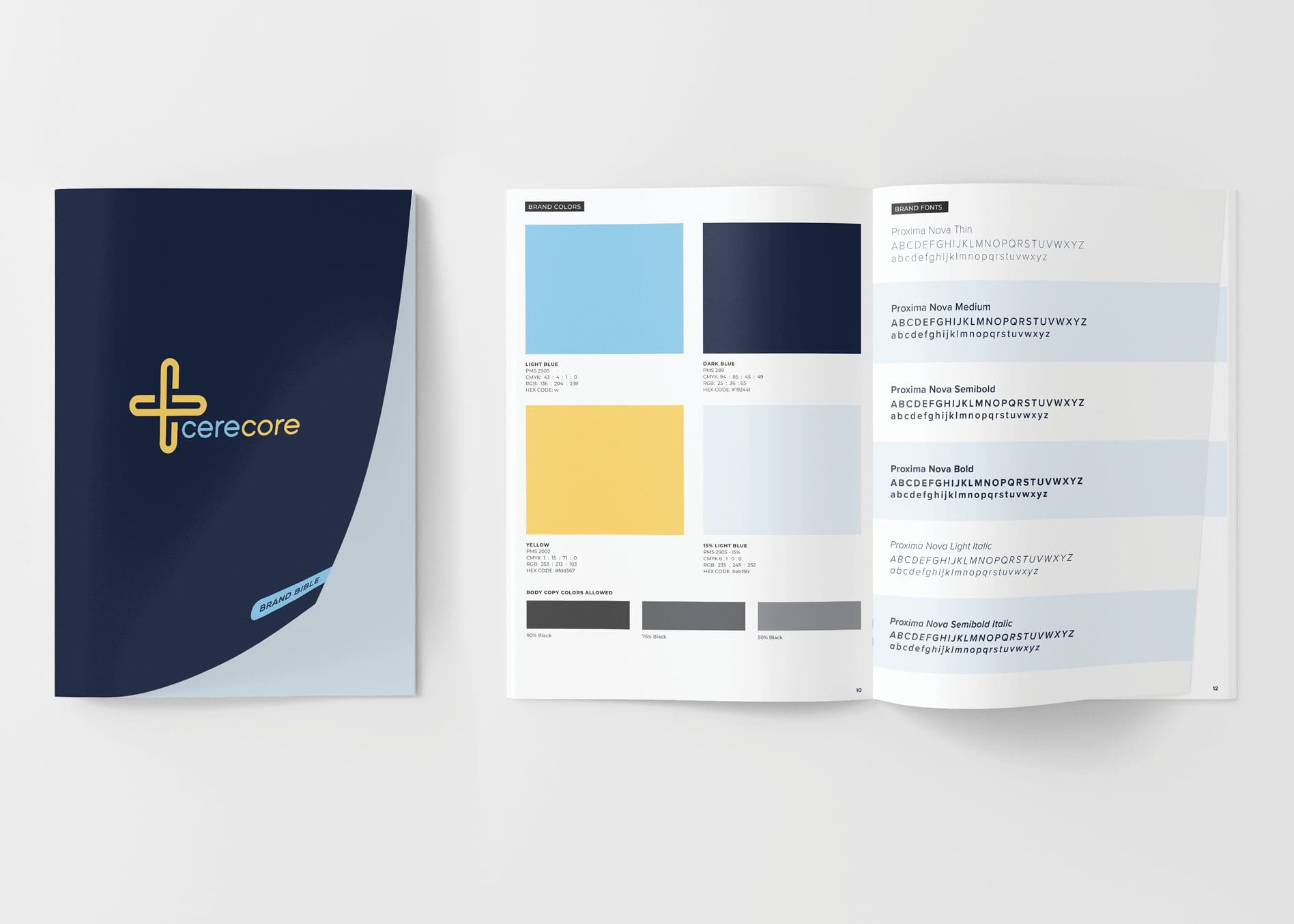 corporate brand guidelines book