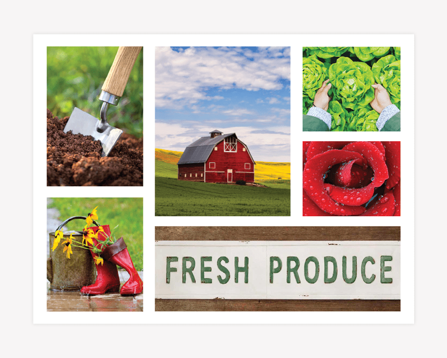 Rosewood Farms - Branding Graphic Design